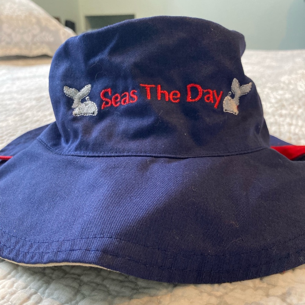 NWOT Flapjacks hat